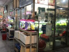 -宝鸡东道花鸟鱼虫市场(吉利花园商场店)