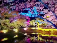 -无锡新湖铂尔曼大酒店