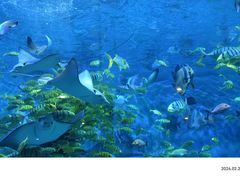 -横店影视城梦幻谷园区