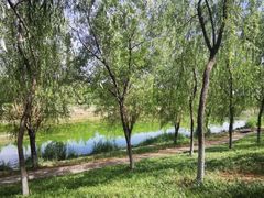 -秀水公园