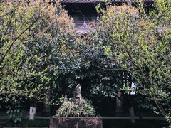 -宝光寺