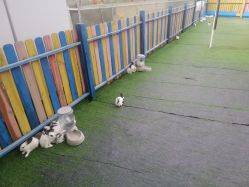 -萌宠亲子动物乐园(槐房万达店)