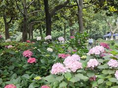 -常州古运河南大街文化旅游区-人民公园