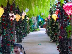 -正佳雨林生态植物园