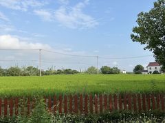 -七的湖·晚芳亭·阳澄湖农家菜·大闸蟹(莲花岛店)