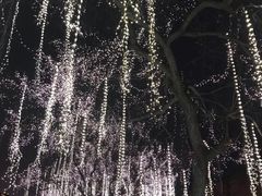 -奈雪的茶(大悦城店)