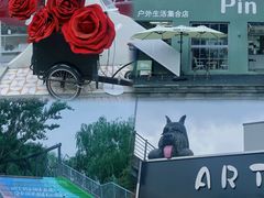 -将府公园