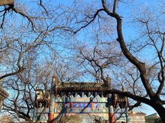 -北京国子监胡同