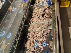 -星伦多自助料理·涮烤一体(江桥万达店)