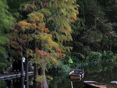 -深圳仙湖植物园