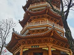 -塔云山