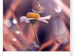 -好利来(熙地港店)