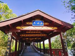 -长广溪湿地公园