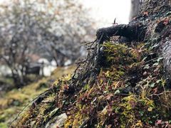 -硗碛藏寨·神木垒景区