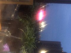 -守柴炉烤鸭(鱼嘴店)