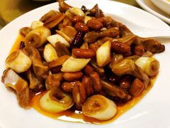 -九花山烤鸭店