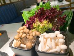 -新辣道鱼火锅(摩尔城店)