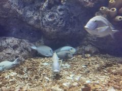 -福州罗源湾海洋世界旅游区