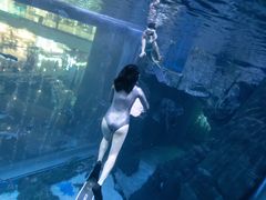 -成都浩海立方海洋公园