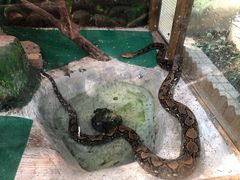 -上海大自然野生昆虫馆(东方明珠·爬宠昆虫探索中心)