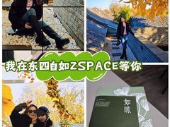 -自如ZSPACE四合院艺术餐厅