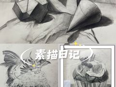 -尼莫儿童美术(三阳路融科天城校区)