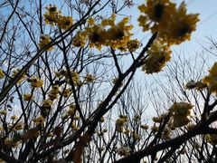 -九里河湿地公园