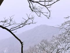 -紫金山山顶公园