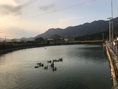 -英姐农家乐