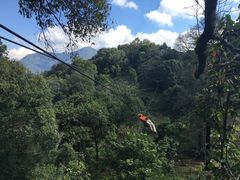 -清迈丛林飞跃 JungleFlight