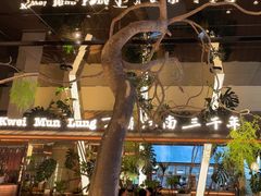 -桂满陇·海市蜃楼·黑金(国金店)