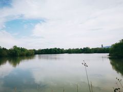 -长兴太湖图影湿地文化园