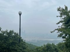 -茶颜悦色(岳麓山顶店)