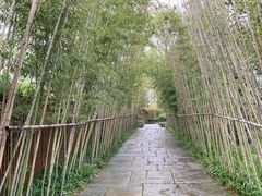 -新荣记(西溪湿地店)