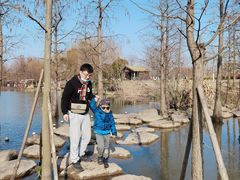 -上海长兴岛郊野公园