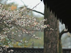 -钱王祠