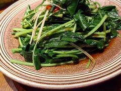 -蒙古苍狼蒙餐