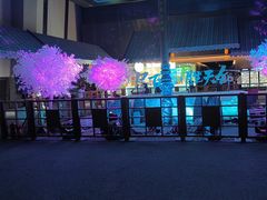 -上海环球金融中心骑迹50年环球之旅
