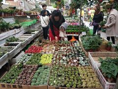 -秦美花卉(天朗·莱茵小城2期店)