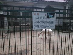 -甘棠公园