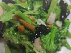 -陶然饺子城(奥体中路店)