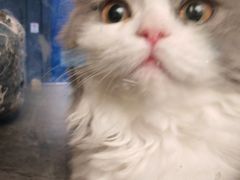 -圆融购物中心(南天成路店)