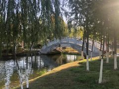 -洪湖生态旅游区