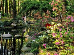 -上海共青森林公园