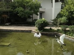 -广富林宰相府酒店·水云间