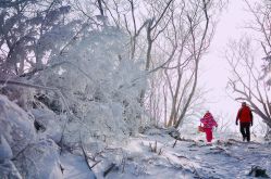 -大秃顶子山(雪谷店)
