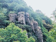 -北京鹫峰国家森林公园