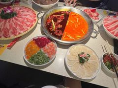 -小龙坎火锅(全球旗舰店)