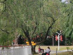 -人民公园(罗湖区)