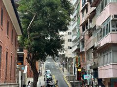 -中环半山扶手电梯